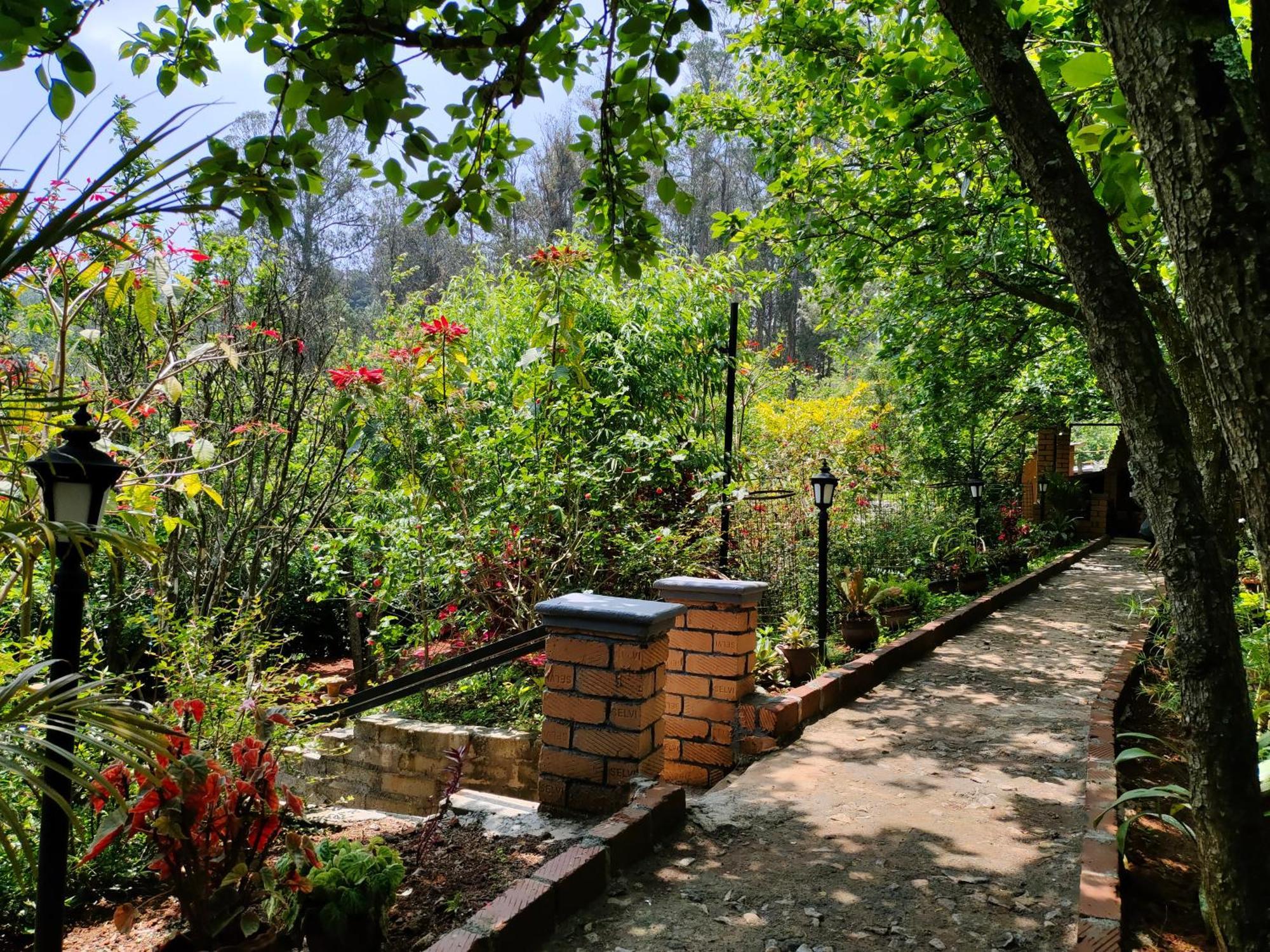 Pear Tree Entire 2Bhk Villa Kotagiri Exterior foto