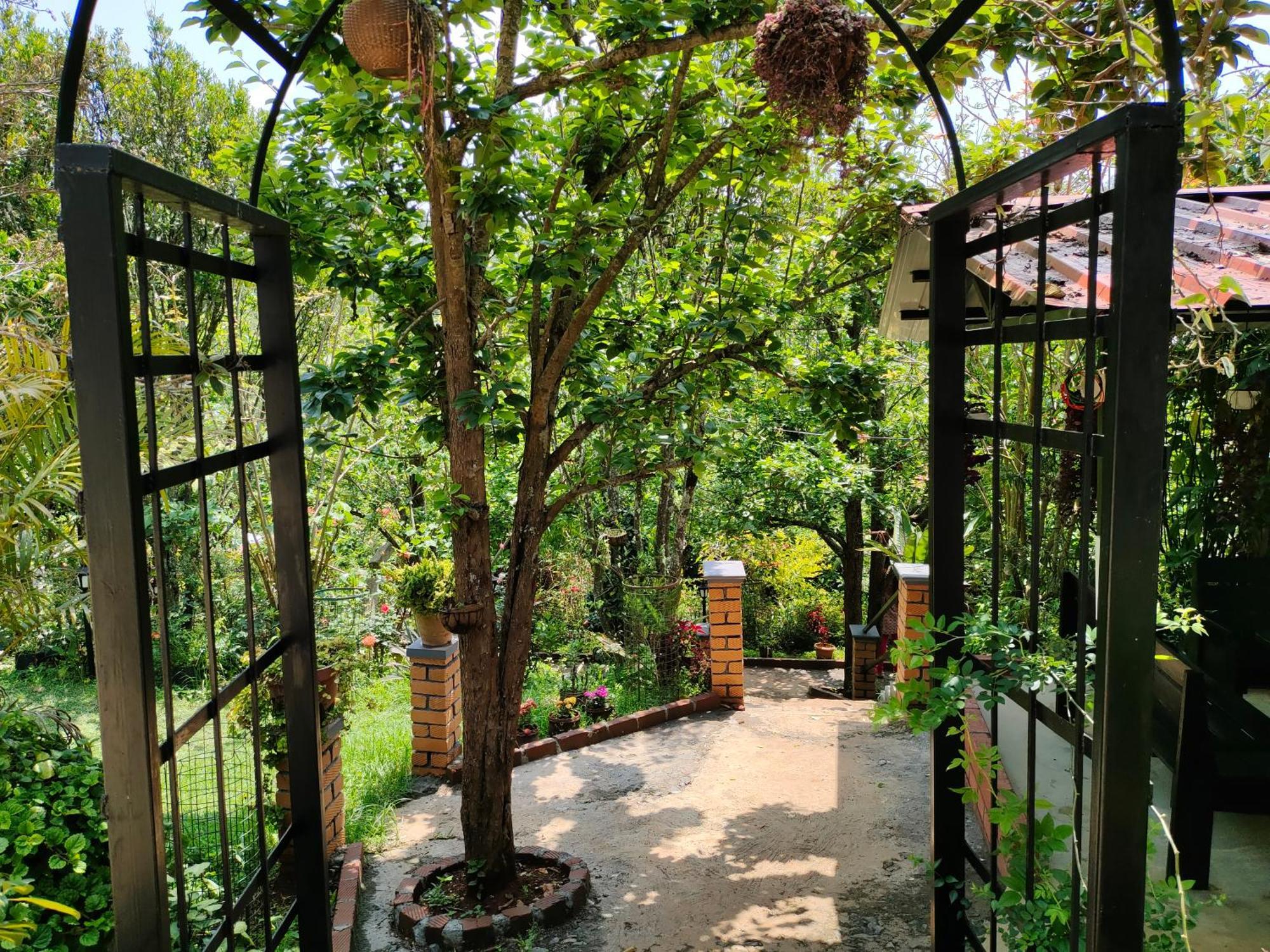 Pear Tree Entire 2Bhk Villa Kotagiri Exterior foto