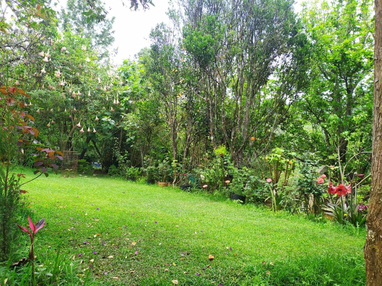 Pear Tree Entire 2Bhk Villa Kotagiri Exterior foto